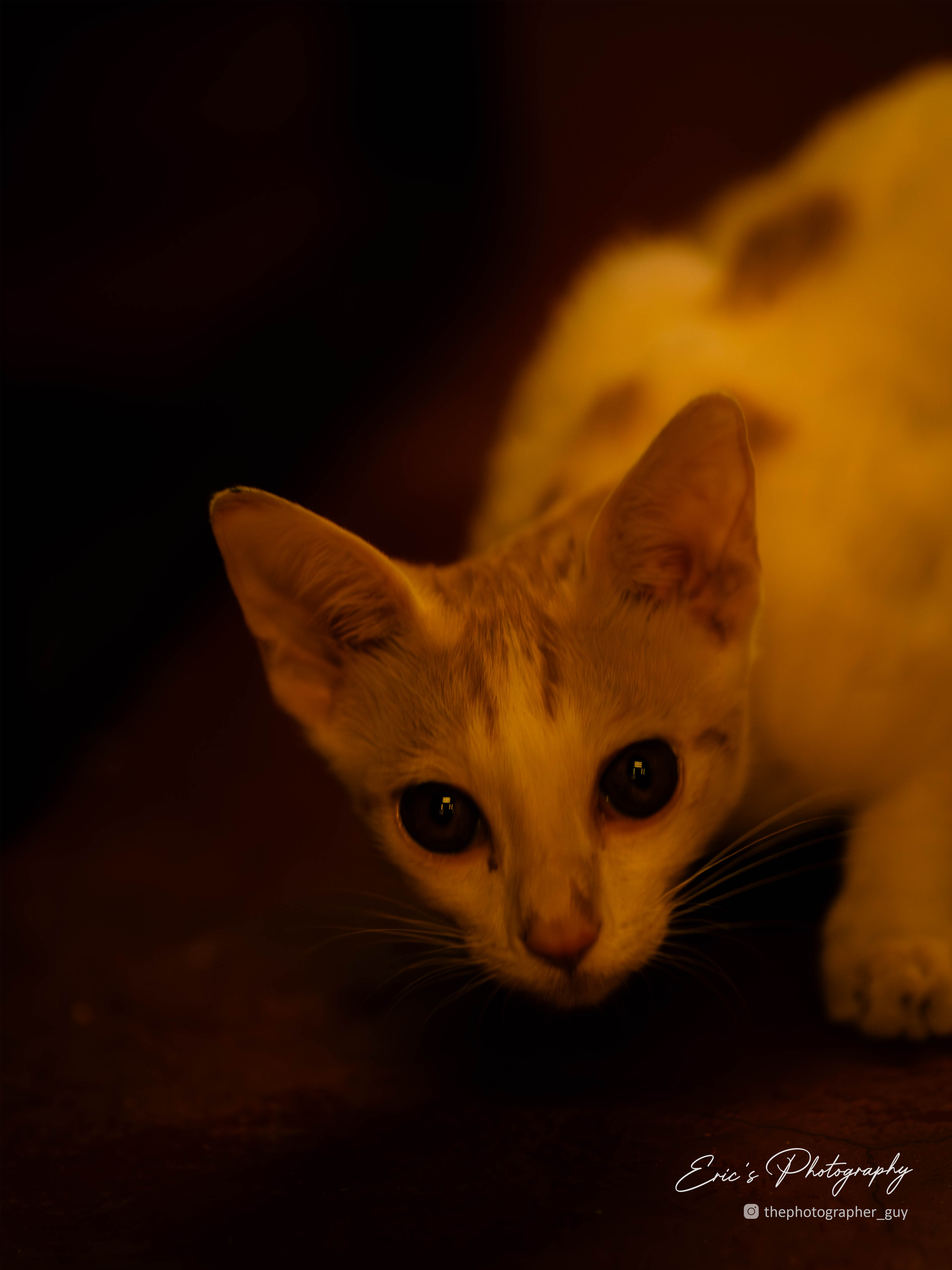 Tall Landscape Photo